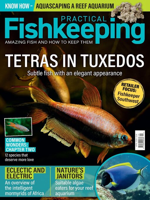 Title details for Practical Fishkeeping by Warners Group Publications Plc - Available